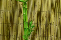 20170906_143027-1-e1505825064976