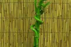 20170906_143347-1-e1505825085595