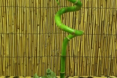 20170906_144636-1-e1505825101188