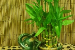 20170906_144831-1-e1505825113529