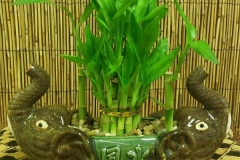 20170906_145021-1-e1505825127390