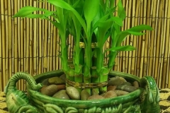 20170906_145114-1-e1505825142345