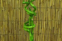 20170906_145236-1-e1505825157987