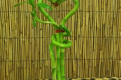 20170906_145303-1-e1505825171911