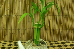 20170906_145409-1-e1505825283550