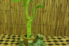 20170906_145538-1-e1505825217710