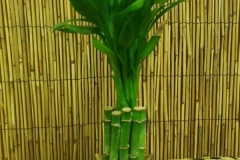 20170906_145732-1-e1505825238433