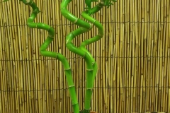 20170906_145801-1-e1505825256620