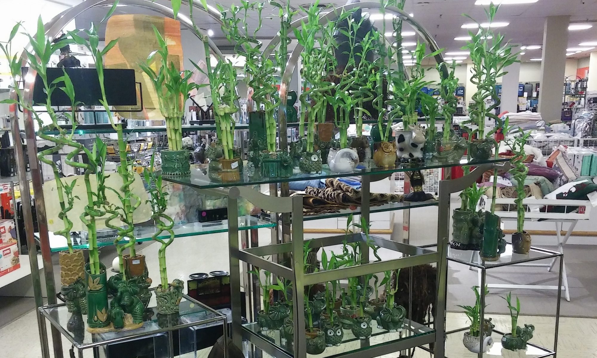 Home of Bamboo